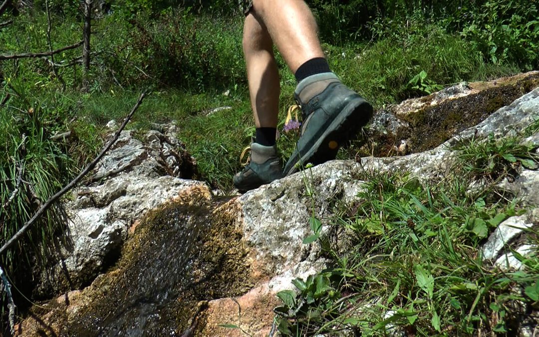 Summiteers: What does Europe need the Alps for?