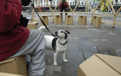 Antwerpen – Gebt den jungen Menschen eine Stimme und Bühne, wir brauchen sie mehr denn je