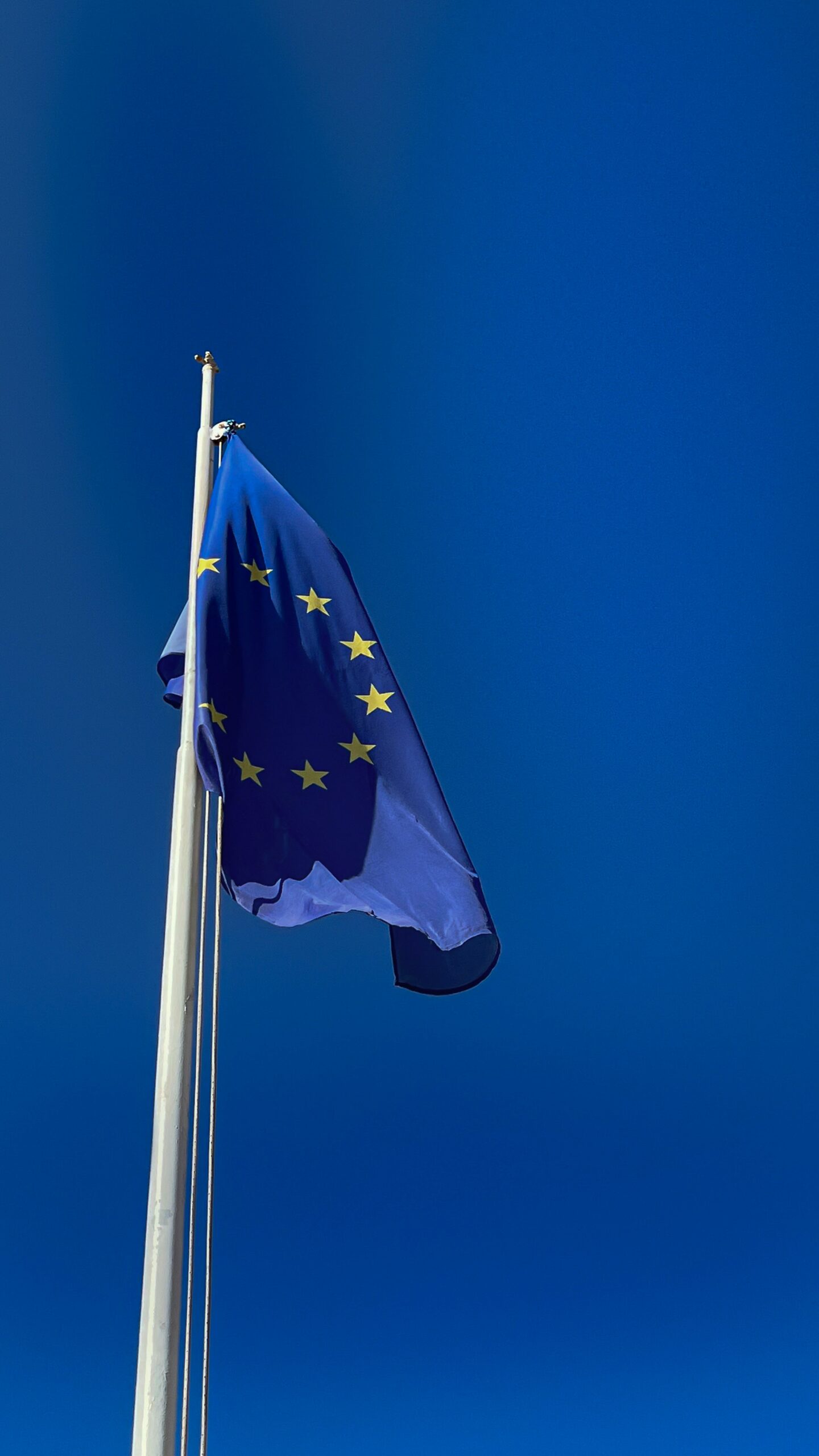 EU Flagge